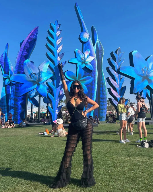 Sheer Mesh Flare Pants